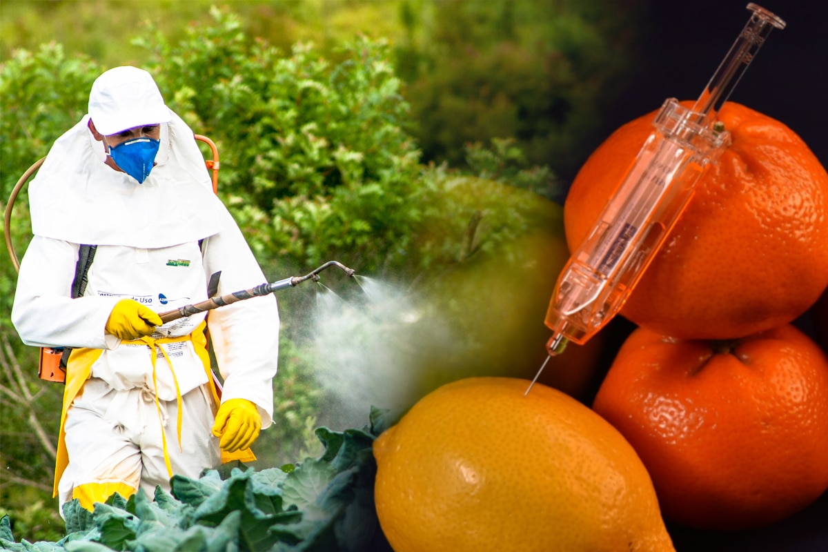 Обработка фруктов от вредителей. Пестициды. Пестициды ядохимикаты. Пестициды в овощах. Пестициды опасны.