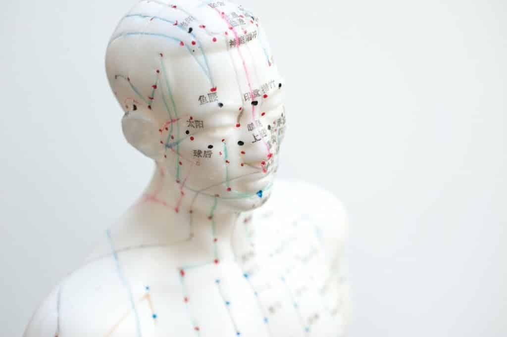 Model hlavy s akupunkturními body.