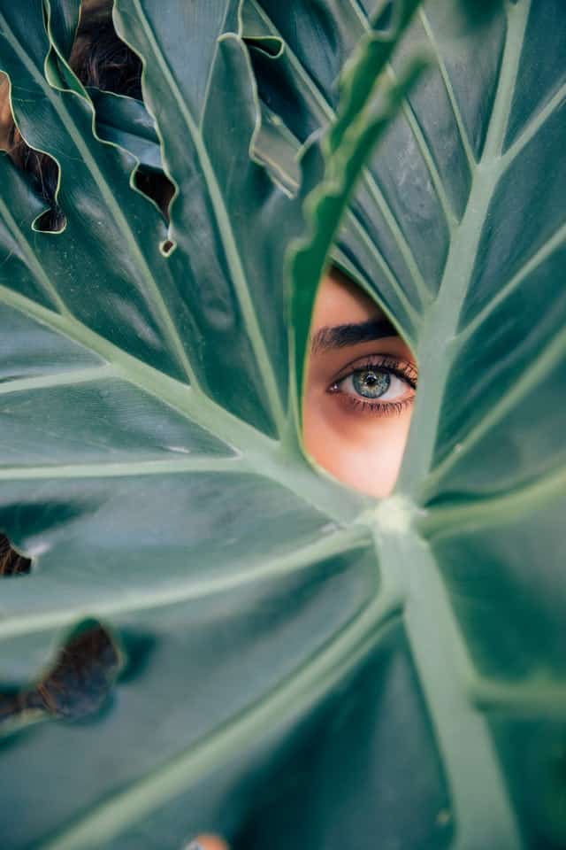 Oko ženy za listem rostliny.